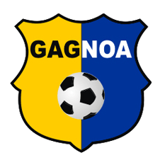 https://img.hl-tg.com/img/football/team/3b10ce31f9956325a4d6e45c00e0ddc6.png